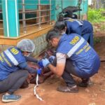 ಉಳ್ಳಾಲ : ರಕ್ತಸಿಕ್ತ ಸ್ಥಿತಿಯಲ್ಲಿ ವ್ಯಕ್ತಿಯ ಮೃತದೇಹ ಪತ್ತೆ : ಬೀದಿ ನಾಯಿ ದಾಳಿ ಶಂಕೆ-PRIME TV